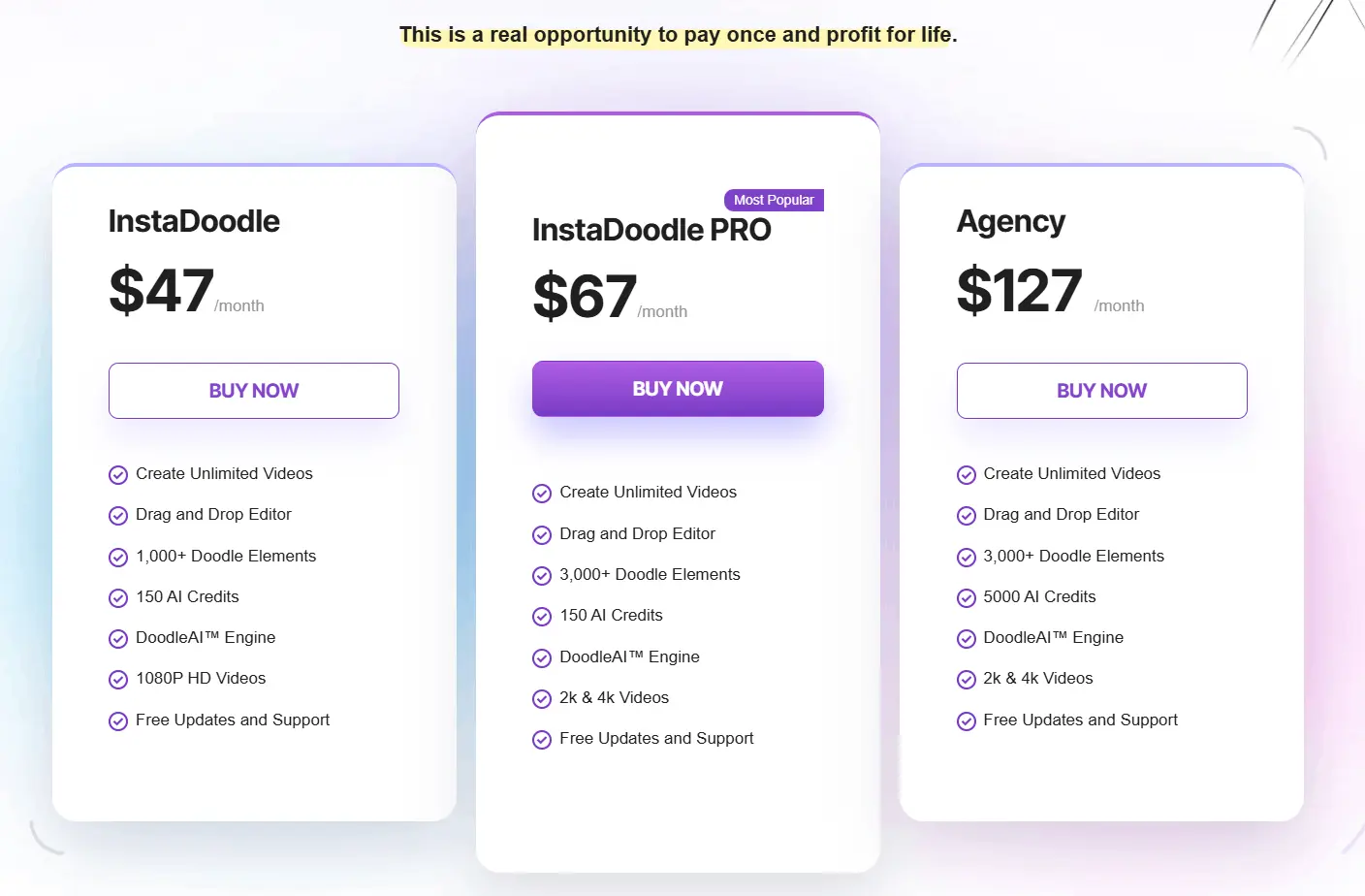 instadoodle-price